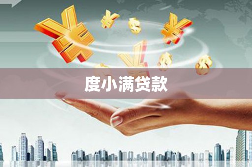 亚东度小满贷款