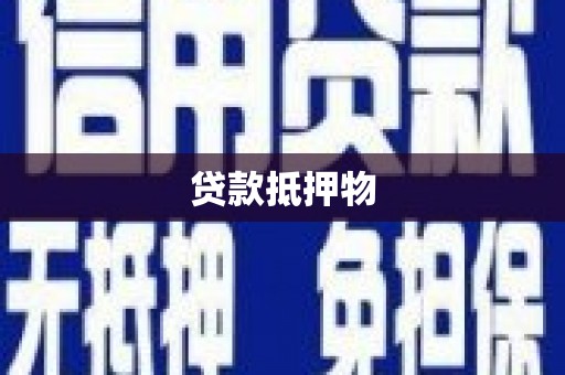亚东贷款抵押物