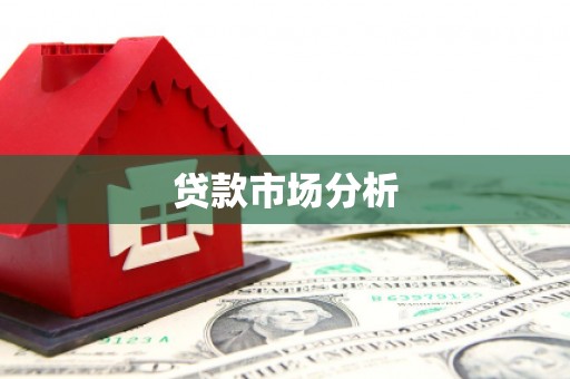 亚东贷款市场分析