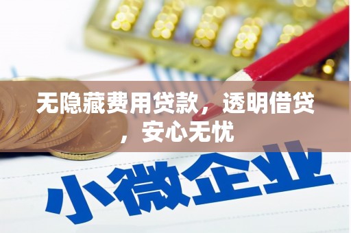 亚东无隐藏费用贷款，透明借贷，安心无忧