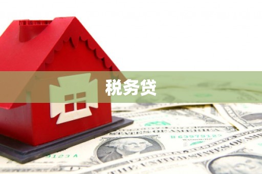 亚东税务贷