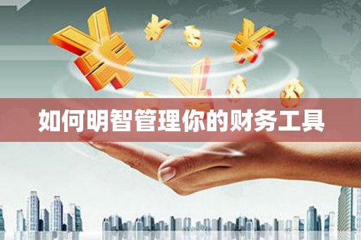 亚东如何明智管理你的财务工具