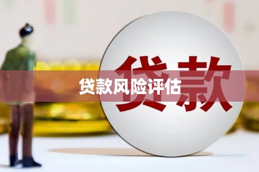 亚东贷款风险评估