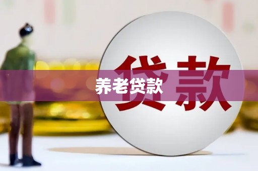 亚东养老贷款