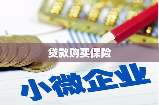 亚东贷款购买保险