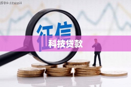 亚东科技贷款