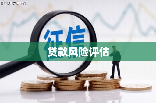 亚东贷款风险评估
