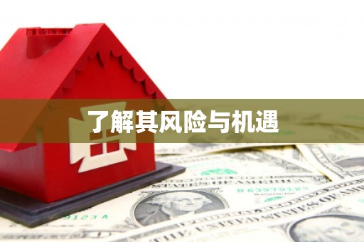 亚东了解其风险与机遇