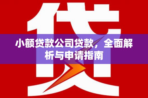 亚东小额贷款公司贷款，全面解析与申请指南
