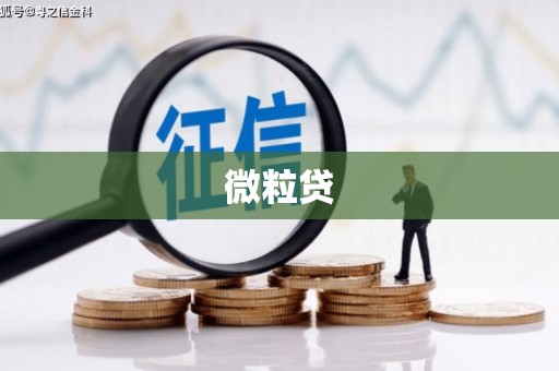 亚东微粒贷