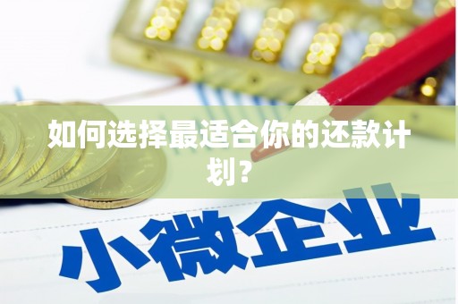 亚东如何选择最适合你的还款计划？