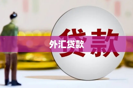 亚东外汇贷款