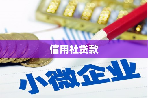 亚东信用社贷款
