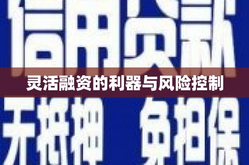 亚东灵活融资的利器与风险控制
