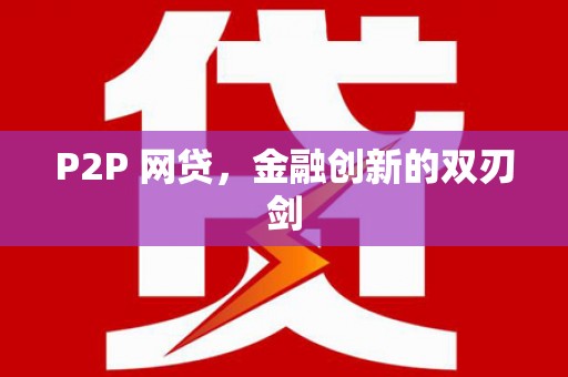 亚东P2P 网贷，金融创新的双刃剑