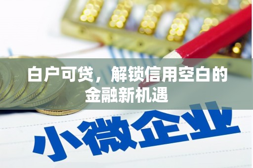 亚东白户可贷，解锁信用空白的金融新机遇