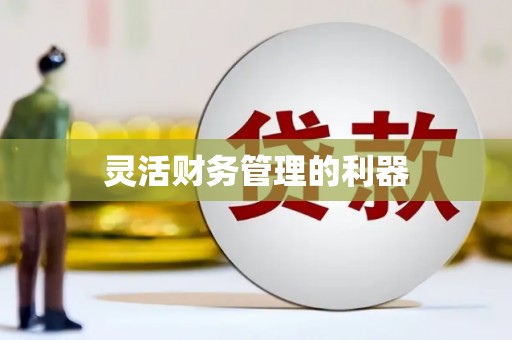 亚东灵活财务管理的利器