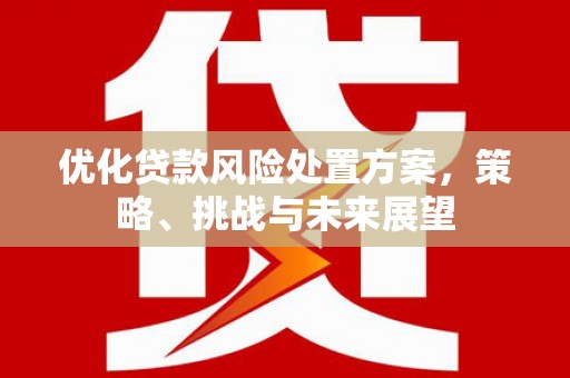 亚东优化贷款风险处置方案，策略、挑战与未来展望