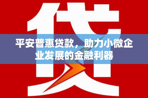 亚东平安普惠贷款，助力小微企业发展的金融利器