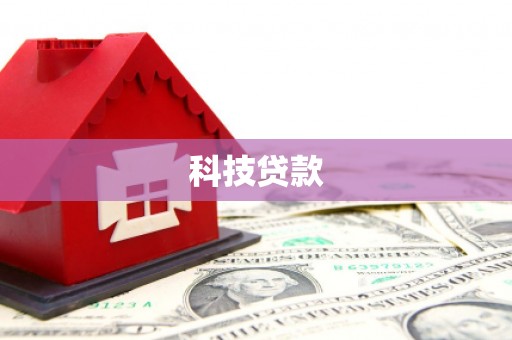 亚东科技贷款