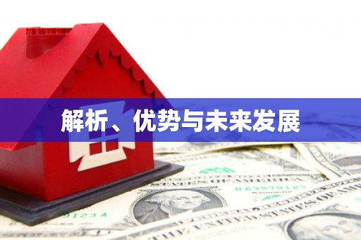 亚东解析、优势与未来发展