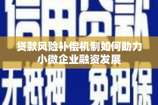 亚东贷款风险补偿机制如何助力小微企业融资发展