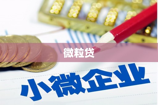 亚东微粒贷
