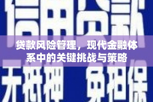 亚东贷款风险管理，现代金融体系中的关键挑战与策略