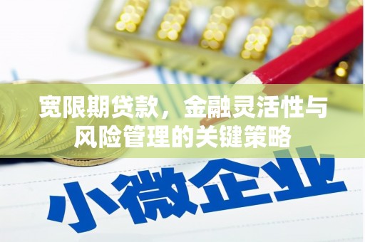 亚东宽限期贷款，金融灵活性与风险管理的关键策略