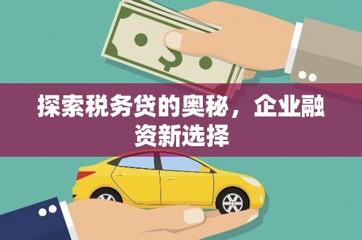 亚东探索税务贷的奥秘，企业融资新选择