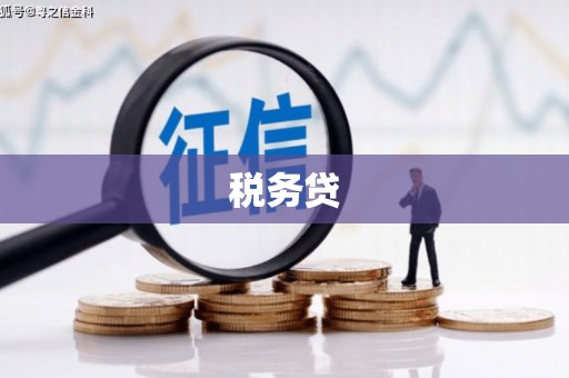 亚东税务贷