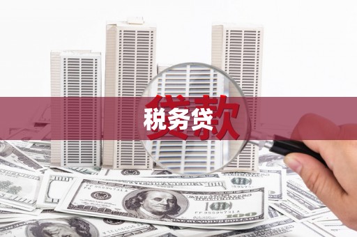 亚东税务贷