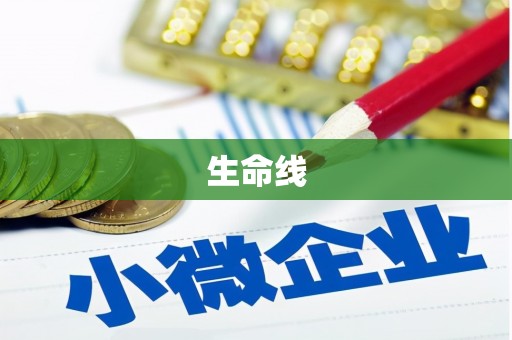 亚东生命线