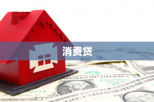 亚东消费贷