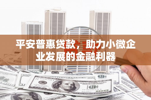 亚东平安普惠贷款，助力小微企业发展的金融利器