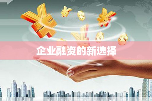 亚东企业融资的新选择