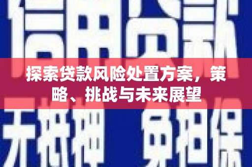 亚东探索贷款风险处置方案，策略、挑战与未来展望