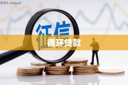亚东循环贷款