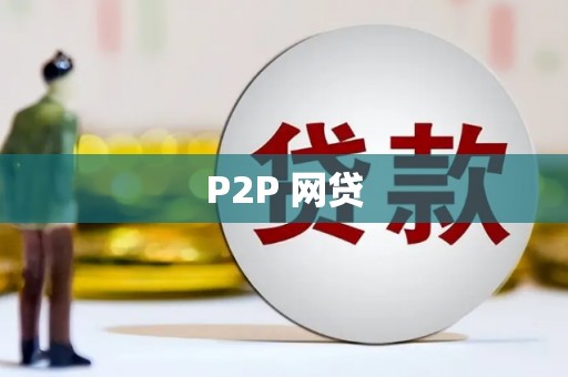 亚东P2P 网贷
