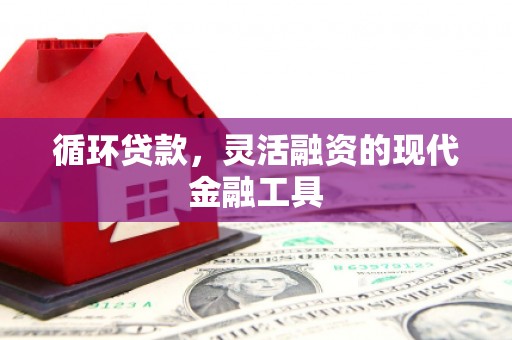 亚东循环贷款，灵活融资的现代金融工具