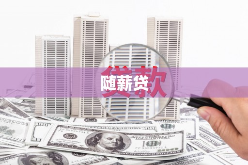 亚东随薪贷