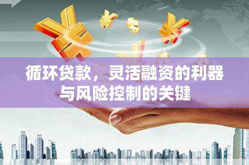 亚东循环贷款，灵活融资的利器与风险控制的关键