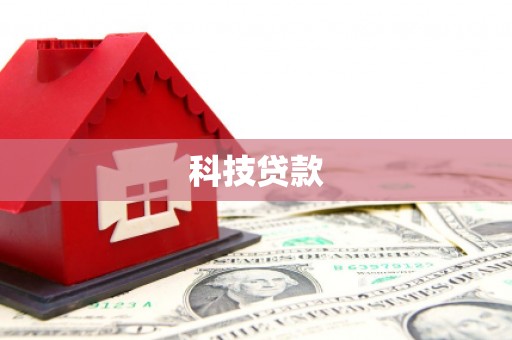 亚东科技贷款