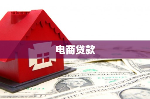 亚东电商贷款