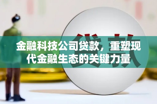 亚东金融科技公司贷款，重塑现代金融生态的关键力量