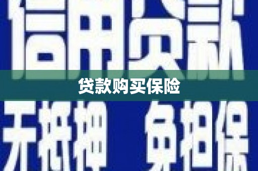 亚东贷款购买保险