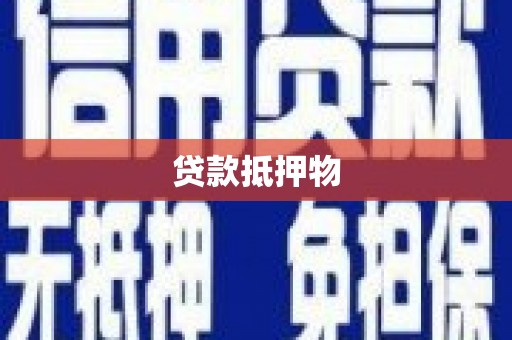 亚东贷款抵押物