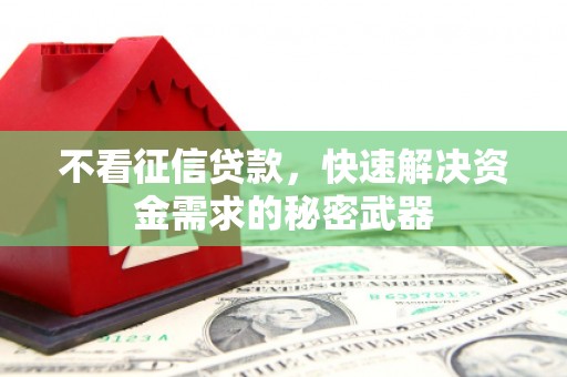 亚东不看征信贷款，快速解决资金需求的秘密武器