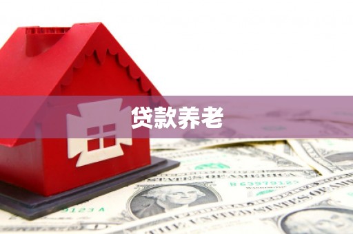 亚东贷款养老