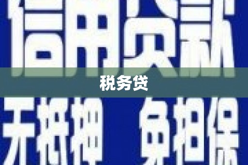 亚东税务贷